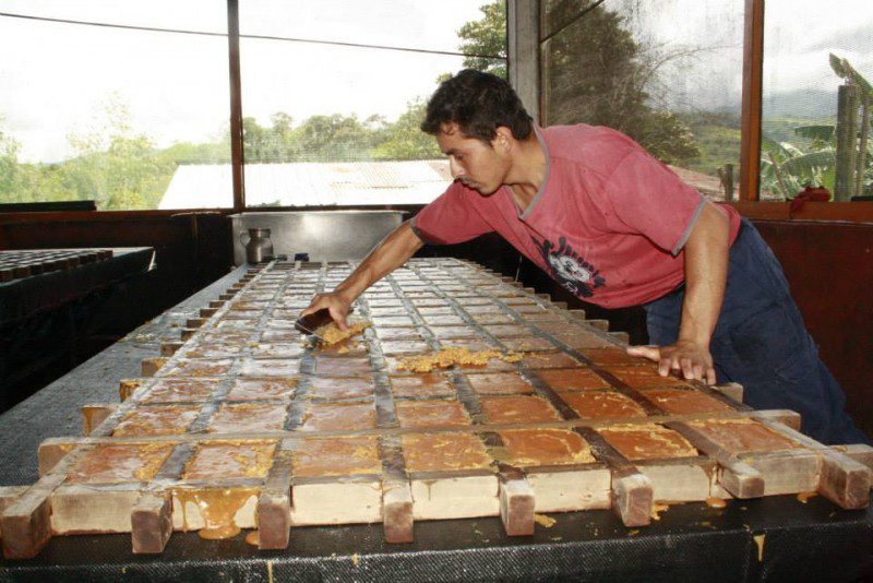 Desarrollo Integral Sostenible