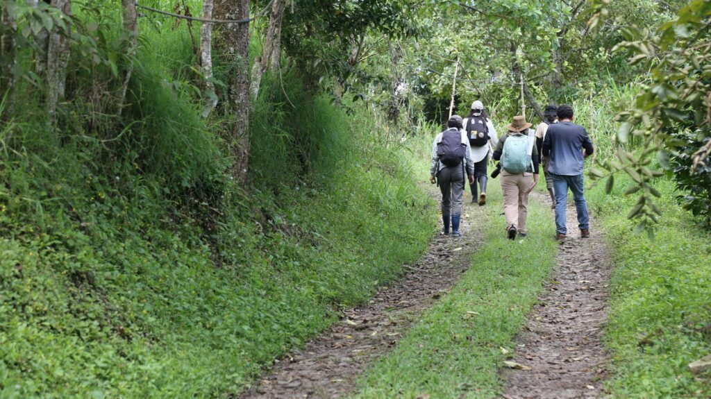 Grupo de participantes recorre un sendero rural durante la jornada de observación de aves