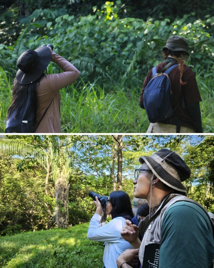 Participantes observan aves con binoculares durante el recorrido por el bosque
