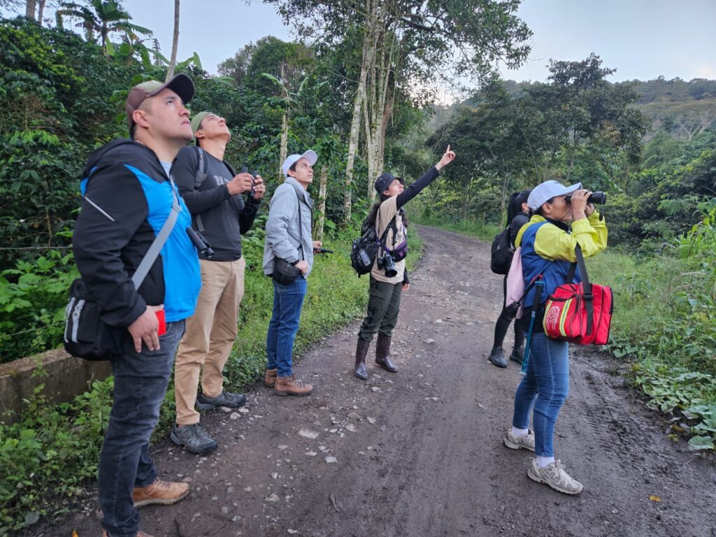 Grupo observa aves con binoculares en un camino rural