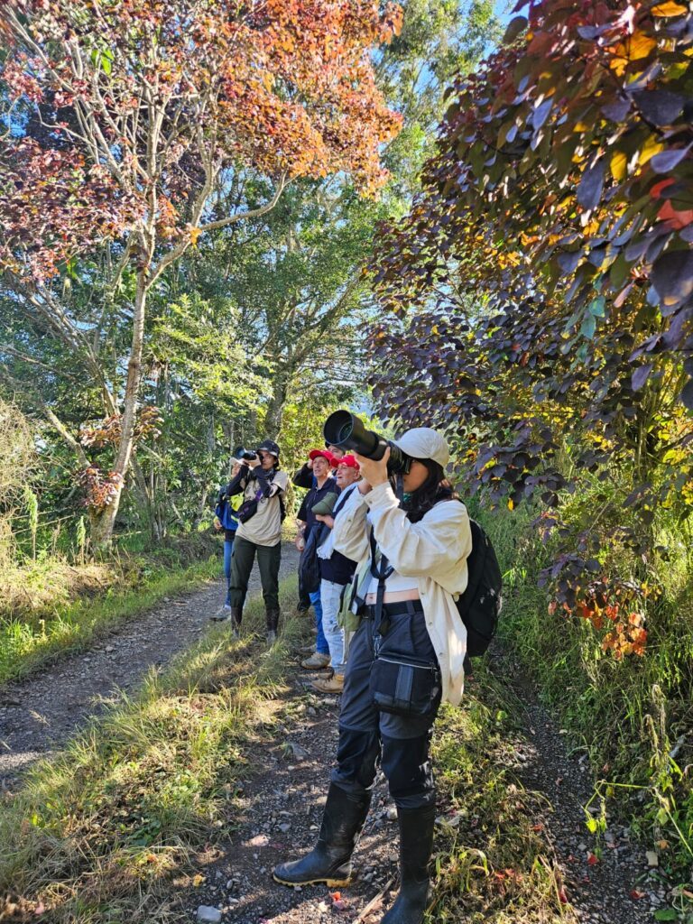 Participantes observan aves con cámaras en un sendero arbolado